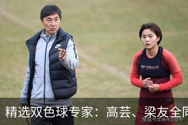精选双色球专家：高芸、梁友全同中二等279万！