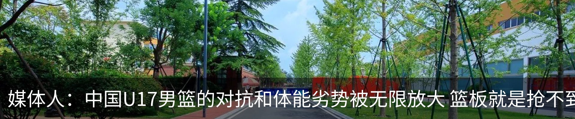 行业资讯