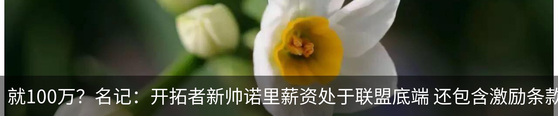 行业资讯