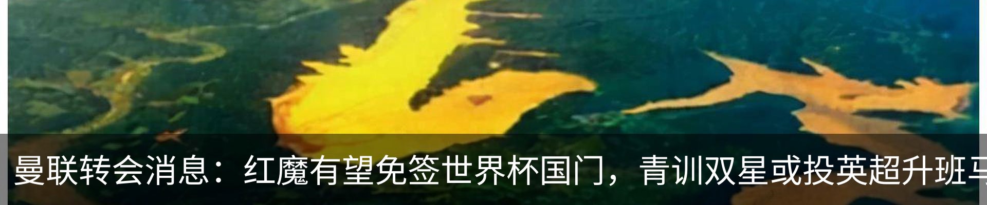 行业资讯